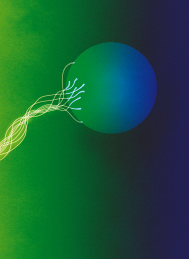 Распутанная Вселенная: как квантовая запутанность принесла Нобелевскую премию