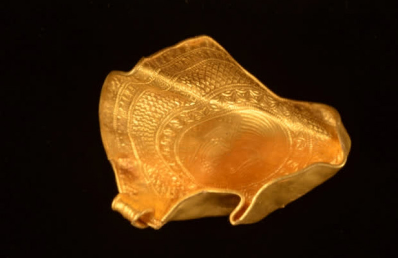 Датский археолог-любитель нашел крупный клад золотых медальонов возрастом 1500 лет