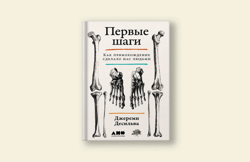 История прямохождения. Отрывок из книги палеоантрополога «Первые шаги»