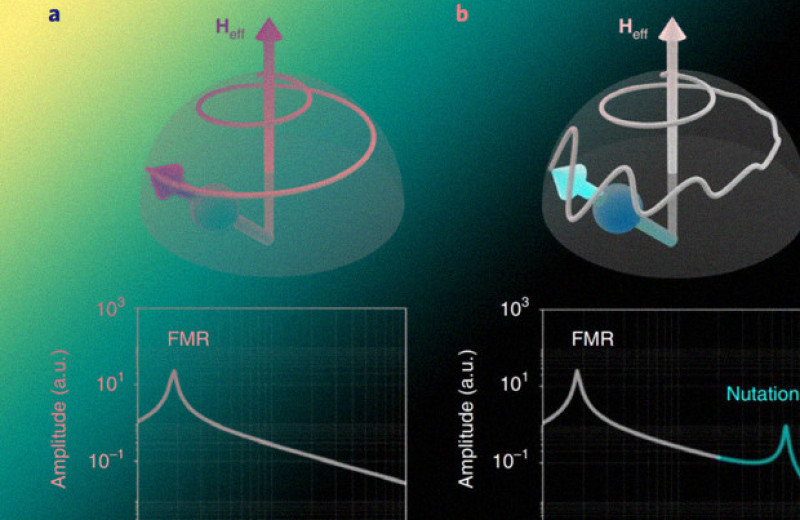 Физики измерили нутацию спина в ферромагнетиках