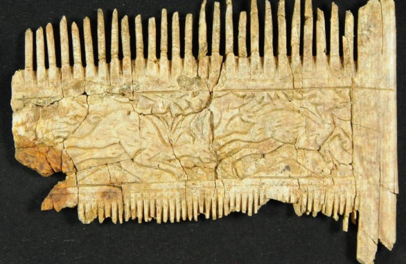 Археологи нашли погребение алеманнского всадника с вооружением и гребнем из слоновой кости