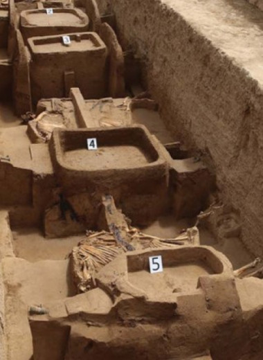 В Китае раскопали колесницы I тысячелетия до нашей эры с запряженными лошадьми