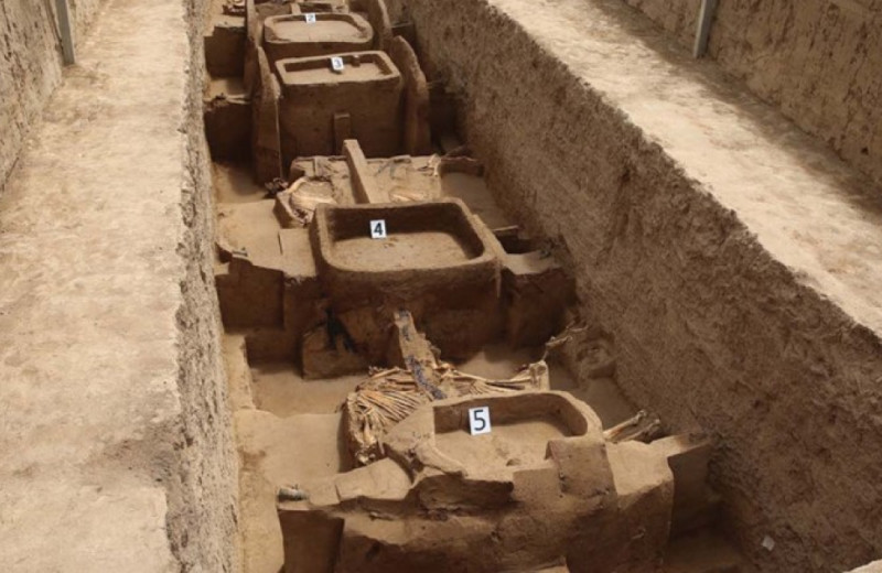 В Китае раскопали колесницы I тысячелетия до нашей эры с запряженными лошадьми