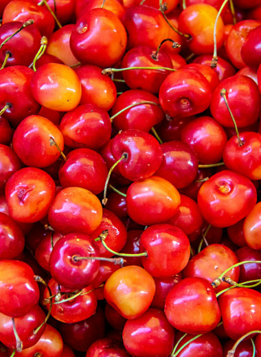 Черешня самая полезная ягода лета: почему?