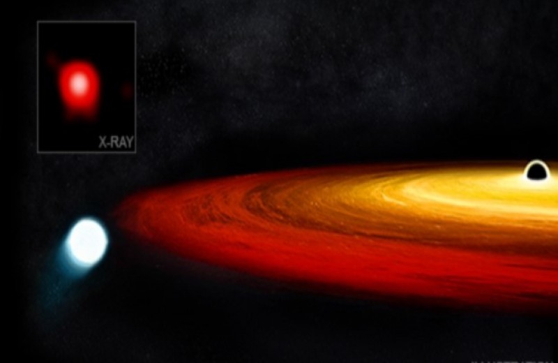 «Чандра» обнаружила рядом со сверхмассивной черной дырой уцелевшее ядро красного гиганта