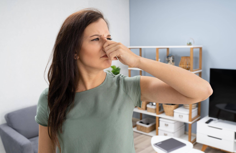 10 причин, по которым в доме появляются неприятные запахи: мнение клинеров