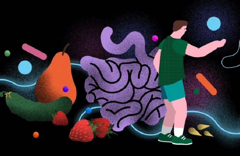 Микробиом: как полюбить полчища населяющих нас бактерий