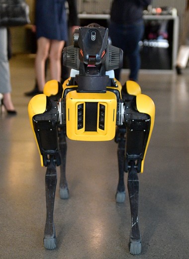 Как Boston Dynamics создала самых знаменитых роботов в мире и когда они начнут помогать людям