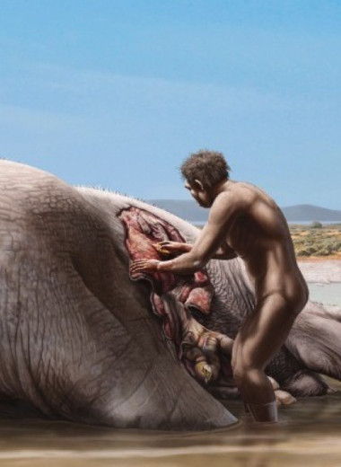 Древние жители Иберии разделали мамонта около 1,2 миллиона лет назад