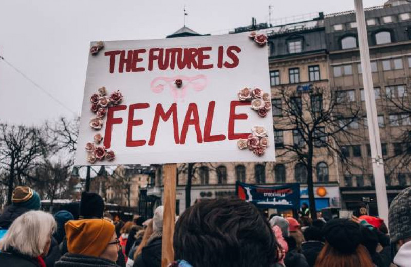 Стивен Пинкер: важные политические решения должны принимать женщины