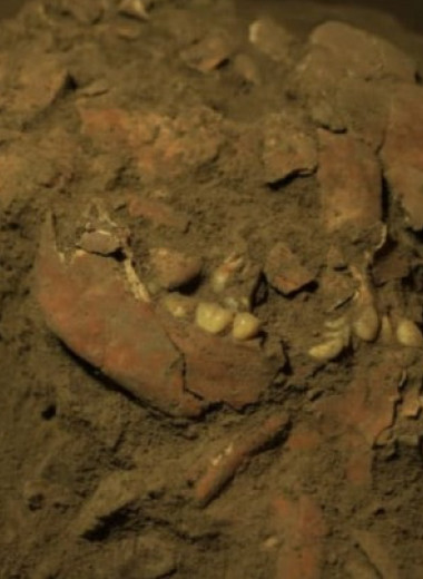 Генетики обнаружили неизвестную ранее популяцию древних людей на Сулавеси