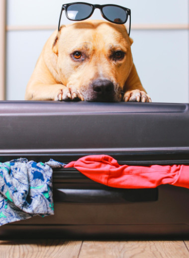 Как правильно сложить вещи, чтобы они не помялись в чемодане