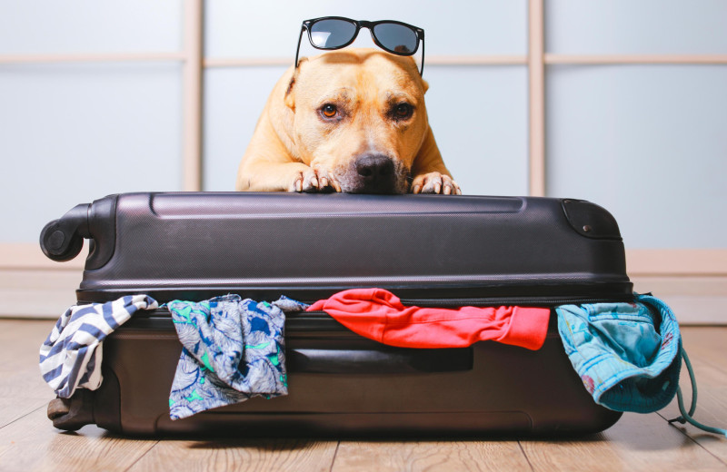 Как правильно сложить вещи, чтобы они не помялись в чемодане