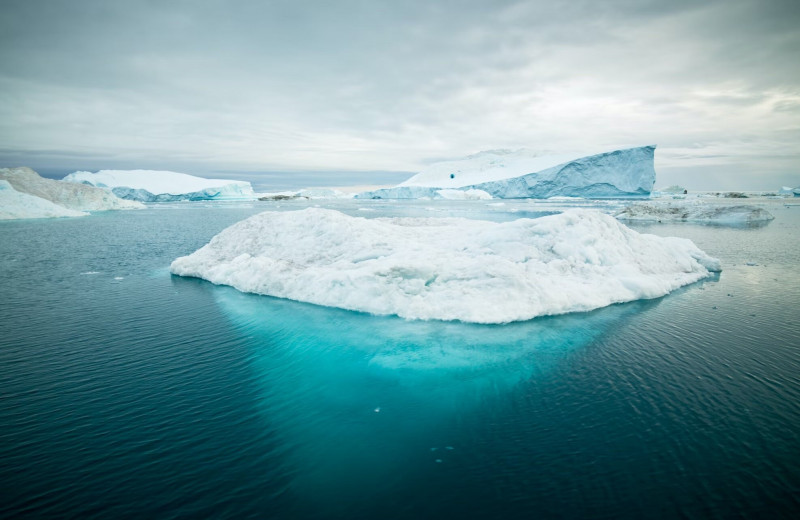 Таяние Арктики приведет к усилению Эль-Ниньо в тропическом Тихом океане