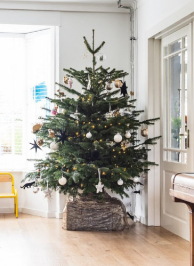 Настоящий праздник в доме: что нужно сделать, чтобы живая елка простояла дольше