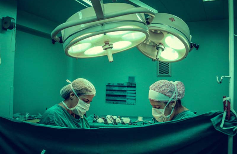 «Органы теряются, пациенты умирают».‎ Как бюрократия не дает трансплантологам лечить детей