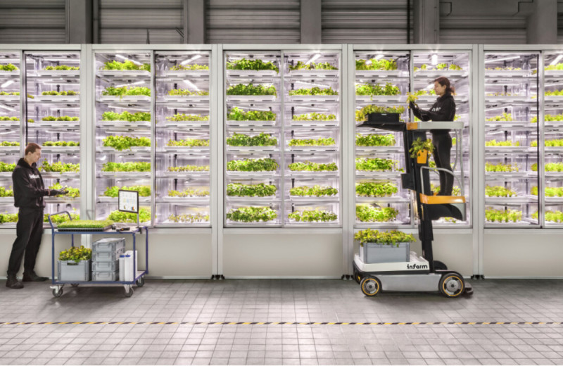 Выращивает салат в автоматах и хочет спасти мир: как немецкая Infarm привлекла $315 млн на «рукколу для богатых»