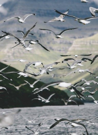 Фарерские острова: холодная жемчужина Атлантики