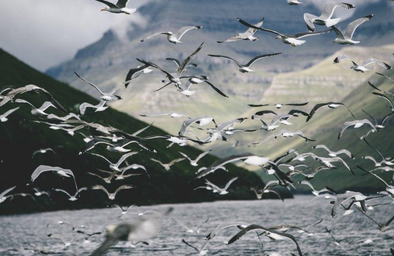 Фарерские острова: холодная жемчужина Атлантики