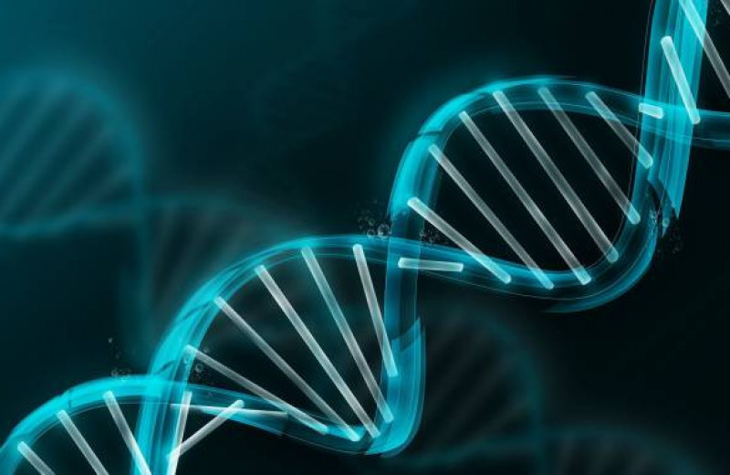 Генетический тест в четырех разных компаниях: личный опыт финского биохакера