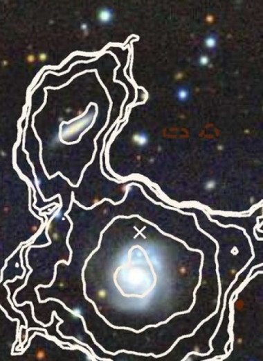 Радиотелескоп MeerKAT случайно открыл 49 новых галактик за пару часов