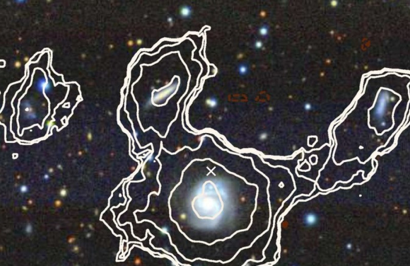 Радиотелескоп MeerKAT случайно открыл 49 новых галактик за пару часов