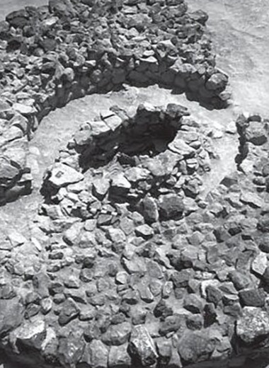 В Армении раскопали ритуальное погребение коня в каменной гробнице