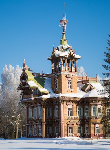 Дворянские гнезда: кто восстанавливает старинные усадьбы в русской провинции