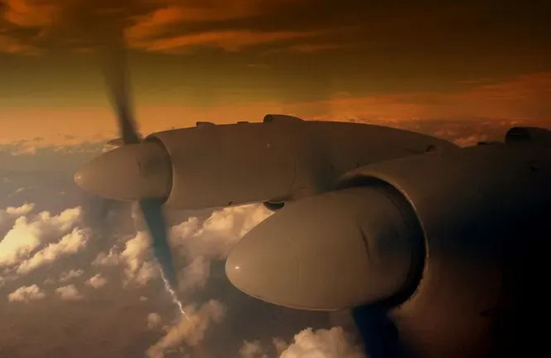 Какие самолеты больше нравились советским летчикам, «Илы» или «Тушки»