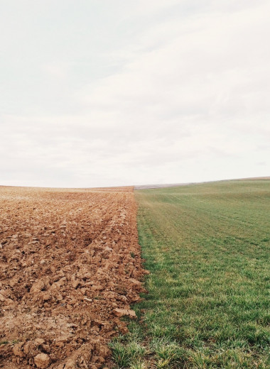 Соль земли: как технологии позволяют анализировать почву и повышать урожайность