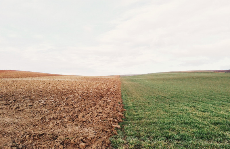 Соль земли: как технологии позволяют анализировать почву и повышать урожайность