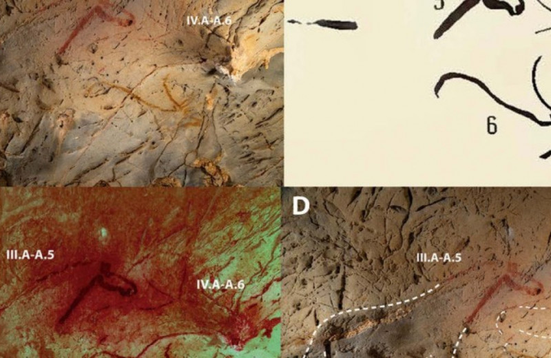 Стереофотосъемка пещеры Ла-Пасьега выявила фигуративные рисунки среди нефигуративных