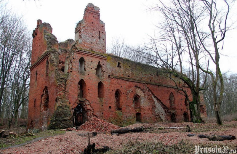 800-летние руины: древний рыцарский замок под Калининградом начал принимать туристов