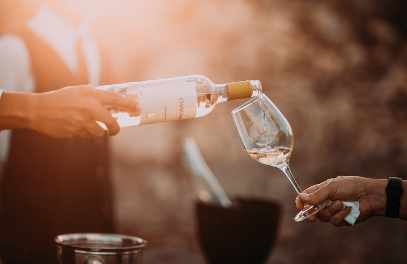 Как понять вино без сомелье-переводчика: все тонкости взаимоотношений с напитком