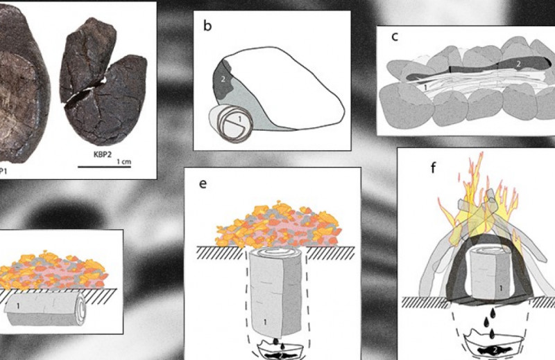 Неандертальцы изготовили березовый деготь по сложной технологии
