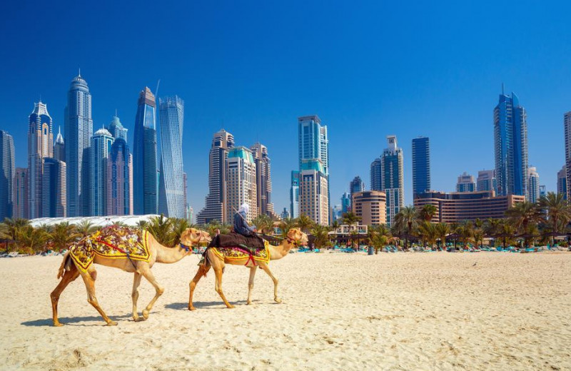 Замуж в Эмираты: реальная история о жизни в Дубае, перспективе стать второй женой и отношениях со свекровью