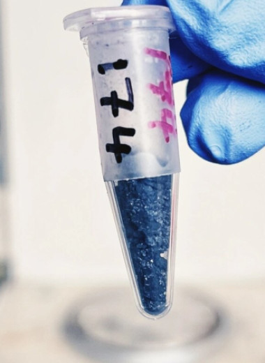 Доказательства древней жизни обнаружены в камне возрастом 3,3 миллиарда лет