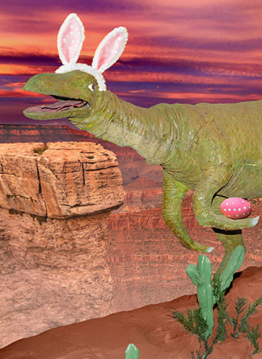 Колыбель с известковыми стенками