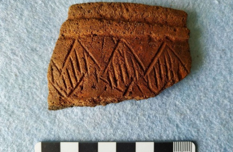 Российские археологи раскопали под Муромом мезолитические стоянки