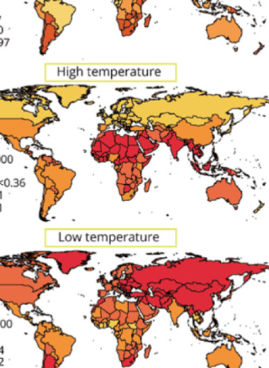 Инсульт из-за неоптимальных температур унес жизни более полумиллиона человек в 2019 году
