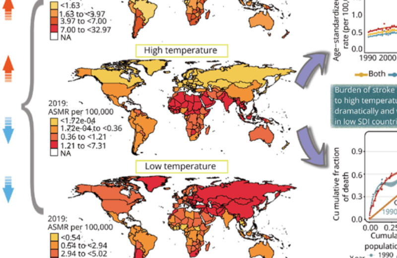 Инсульт из-за неоптимальных температур унес жизни более полумиллиона человек в 2019 году