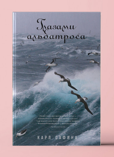 «Глазами альбатроса»: Ученый отправляется в путешествие, чтобы понаблюдать за жизнью альбатросов