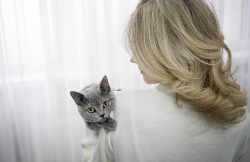 Все это время вы не понимали свою кошку: 5 популярных мифов, в которые вы до сих пор верите