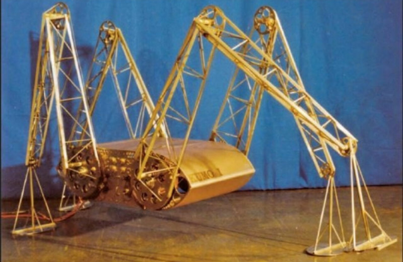 Управляемый таракан, «сидячий» дрон и геккон со сменными ногами: что умеют роботы, которые копируют строение животных