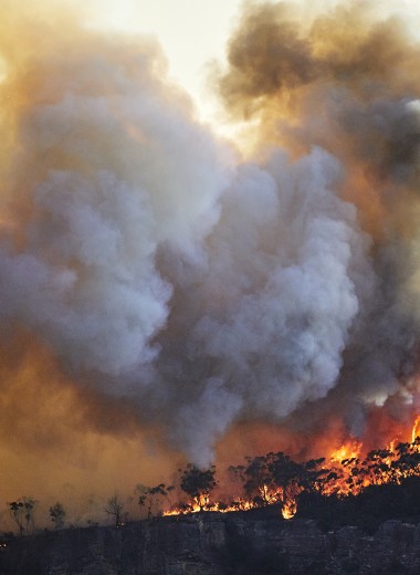Дым отечества: как пожары сделали Россию и Австралию сестрами по несчастью