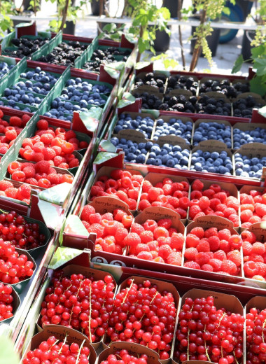 5 ягод, которые несут максимальную пользу здоровью