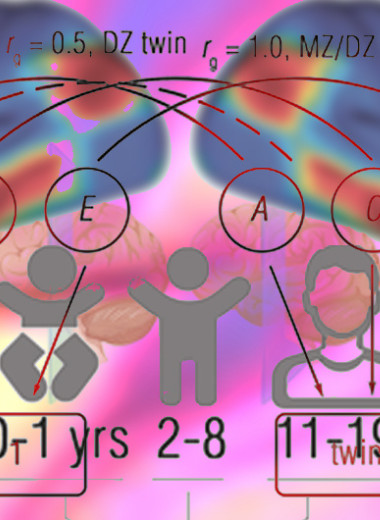 Патологическая прокрастинация частично передалась по наследству