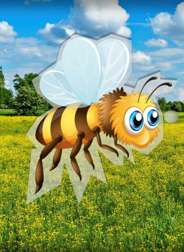 Какие виды меда бывают и как получают разные сорта