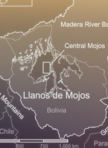 Люди изменили ландшафт юго-западной Амазонии за тысячи лет до прибытия европейцев
