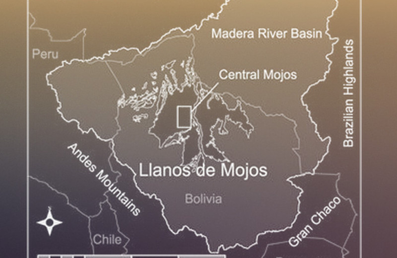 Люди изменили ландшафт юго-западной Амазонии за тысячи лет до прибытия европейцев
